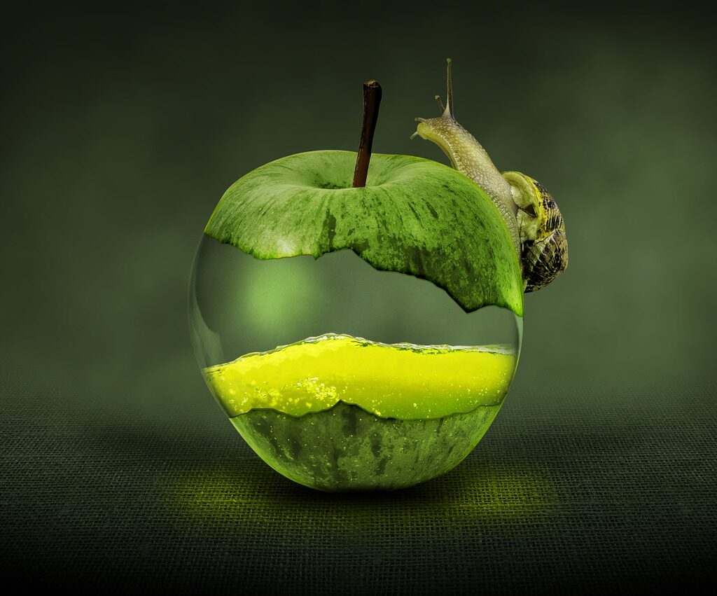 apple, fruit, green apple-1172060.jpg